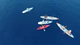 Paddle Board