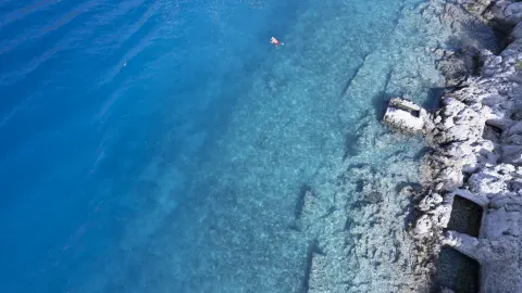 manzara
