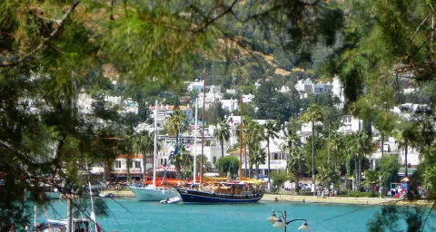 manzara