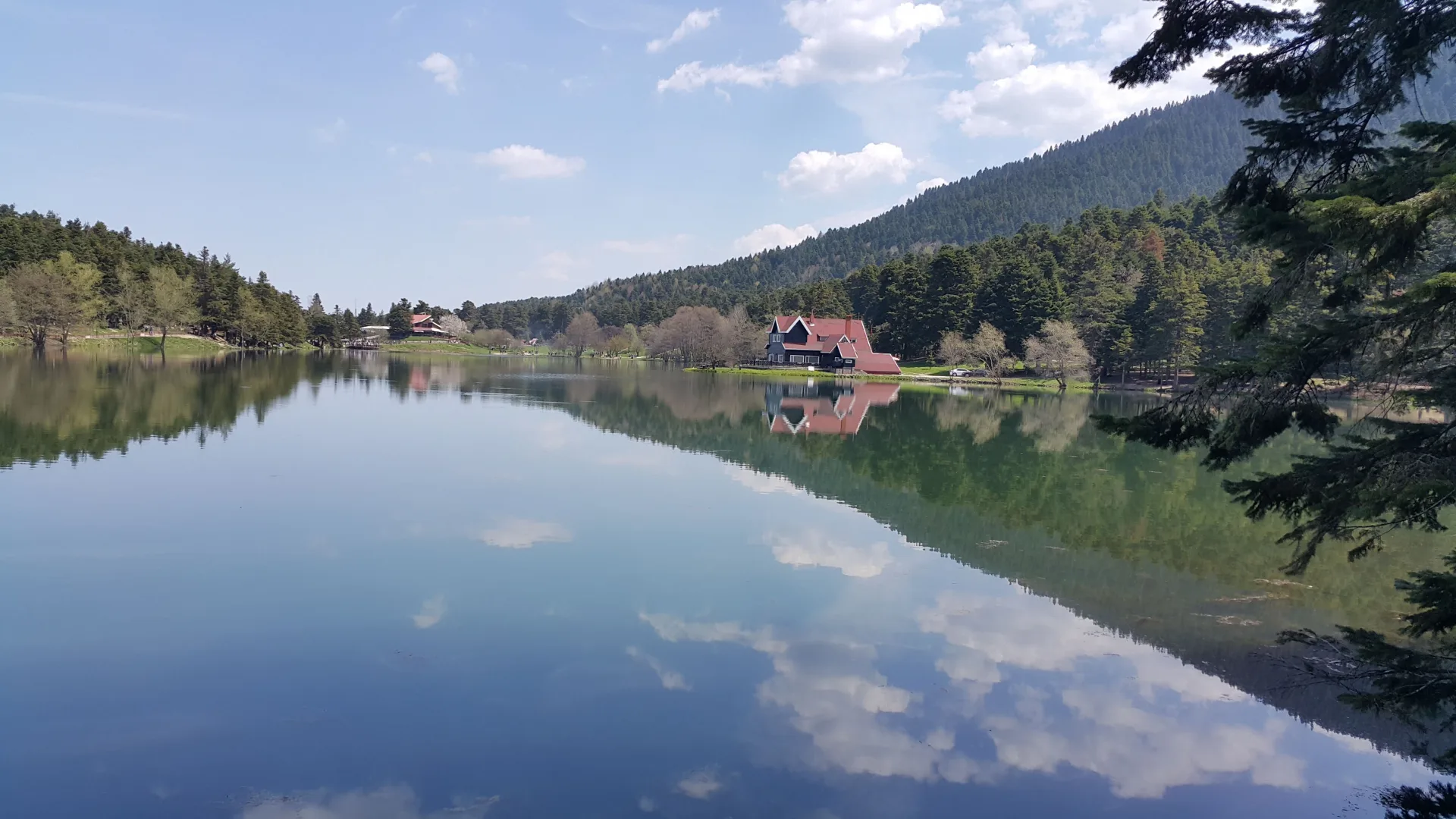 bolu