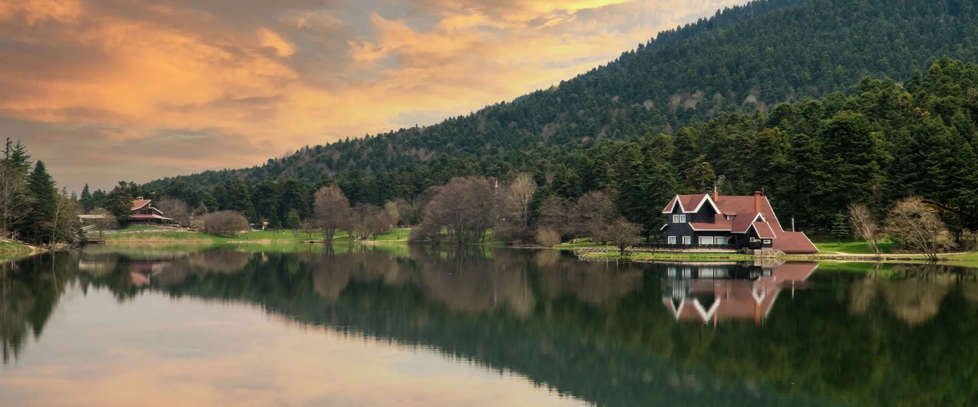 bolu