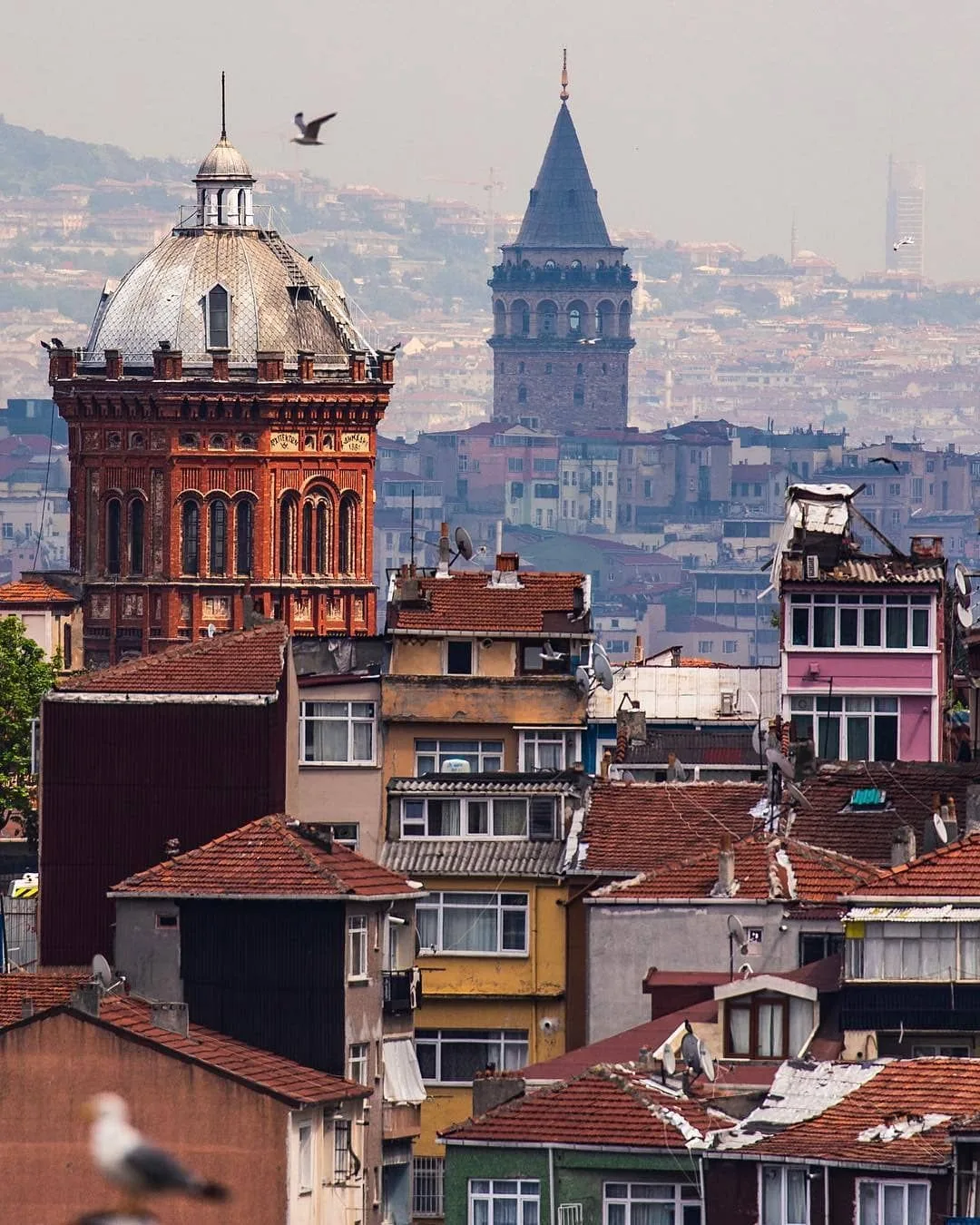 fener