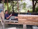 Bayrams Tree Houses