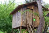 Sabans Tree House