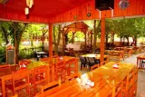 Sabans Tree House